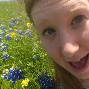 bluebonnets